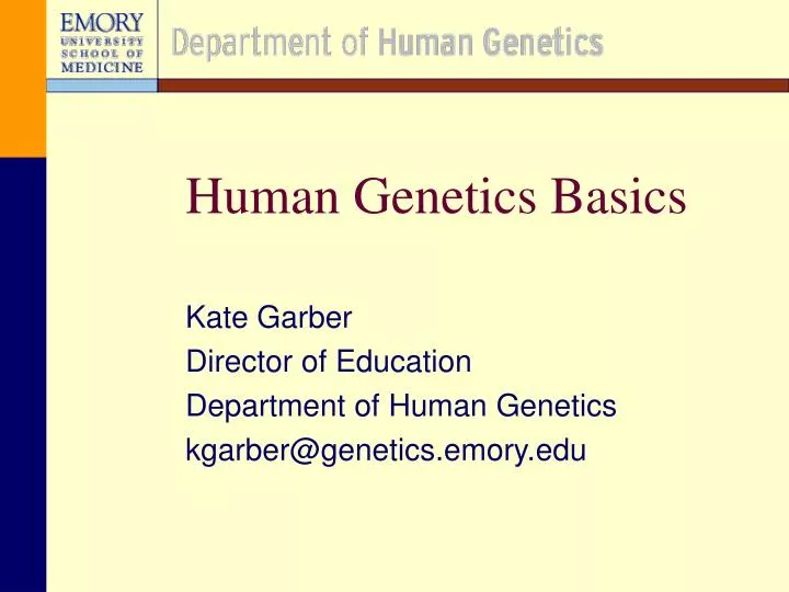 human genetics basics