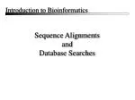 Sequence Alignments and Database Searches - slide 1