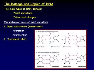 The Damage and Repair of DNA