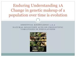 Enduring Understanding 1A Change in genetic makeup of a population over time is evolution