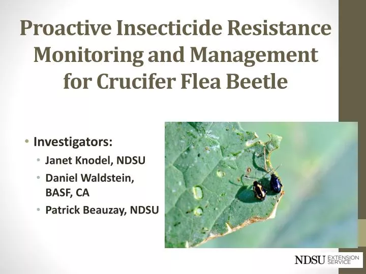 proactive insecticide resistance monitoring and management for crucifer flea beetle