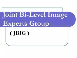 Joint Bi-Level Image Experts Group