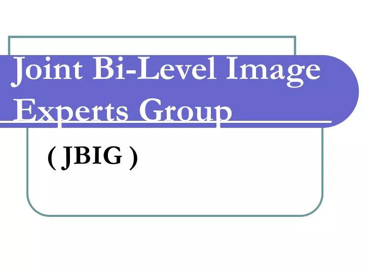 joint bi level image experts group
