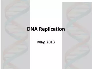 dna replication