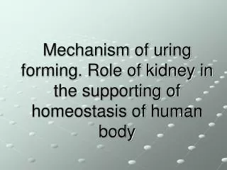 Mechanism of uring forming. Role of kidney in the supporting of homeostasis of human body
