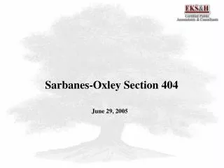 Sarbanes-Oxley Section 404