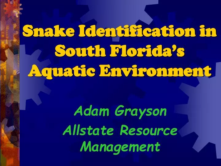 snake identification in south florida s aquatic environment