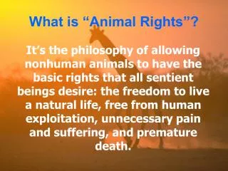 What is “Animal Rights”?