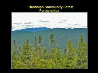 Randolph Community Forest