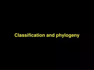 Classification and phylogeny