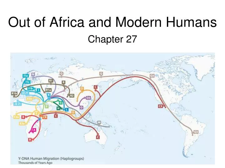 out of africa and modern humans