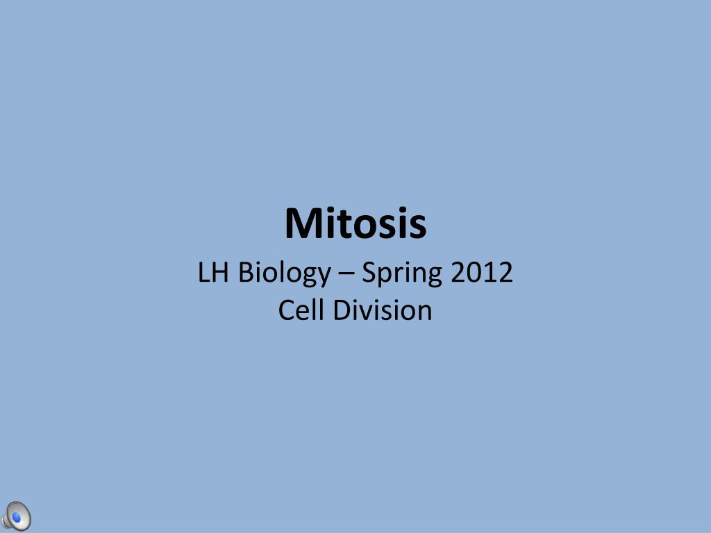 PPT - Mitosis PowerPoint Presentation, free download - ID:1457751