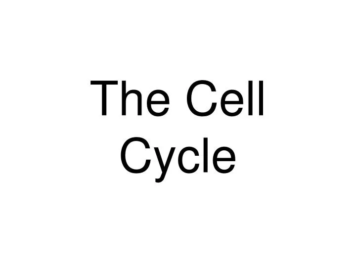 the cell cycle