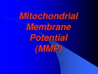 Mitochondrial Membrane Potential (MMP)