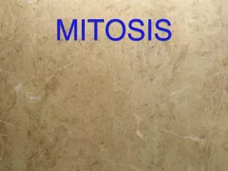 MITOSIS