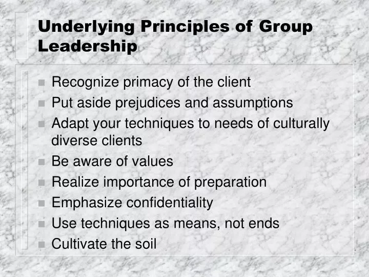underlying principles of group leadership