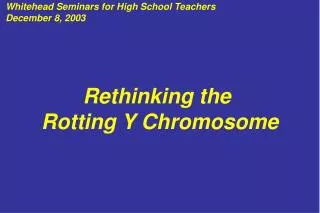 Rethinking the Rotting Y Chromosome