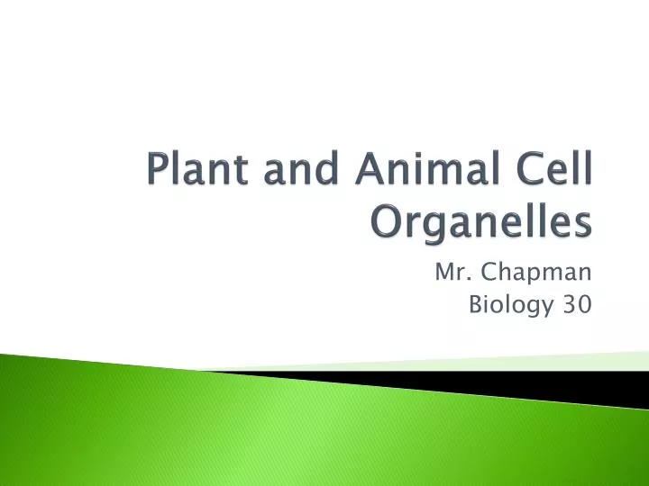 plant and animal cell organelles