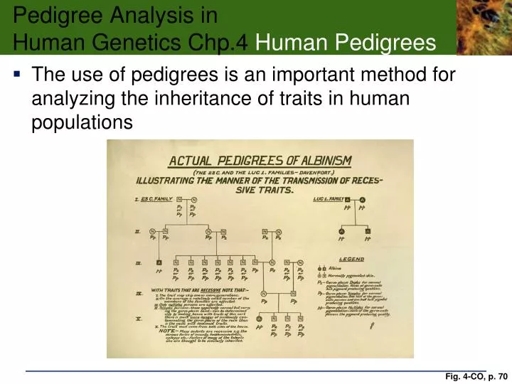 pedigree analysis in human genetics chp 4 human pedigrees