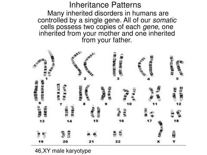 inheritance patterns
