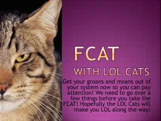 FCAT With LOL CATS