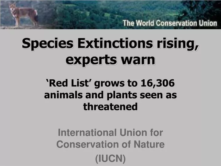 species extinctions rising experts warn