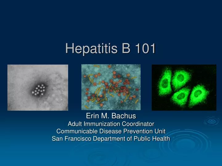 hepatitis b 101