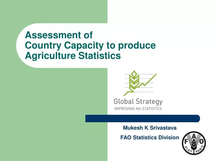 assessment of country capacity to produce agriculture statistics