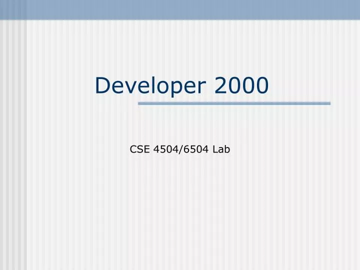 developer 2000