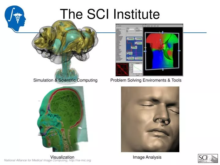 the sci institute