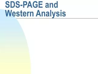 SDS-PAGE and Western Analysis
