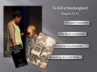 To Kill a Mockingbird Chapters 12-15