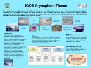 IGOS Cryosphere Theme