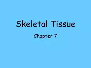 Skeletal Tissue