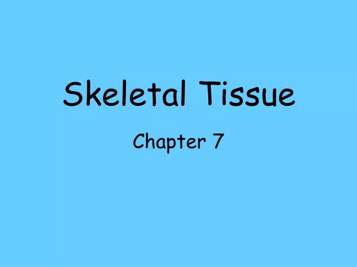skeletal tissue