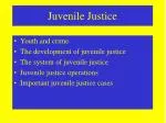 Juvenile Justice - slide 1