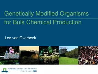 Genetically Modified Organisms for Bulk Chemical Production