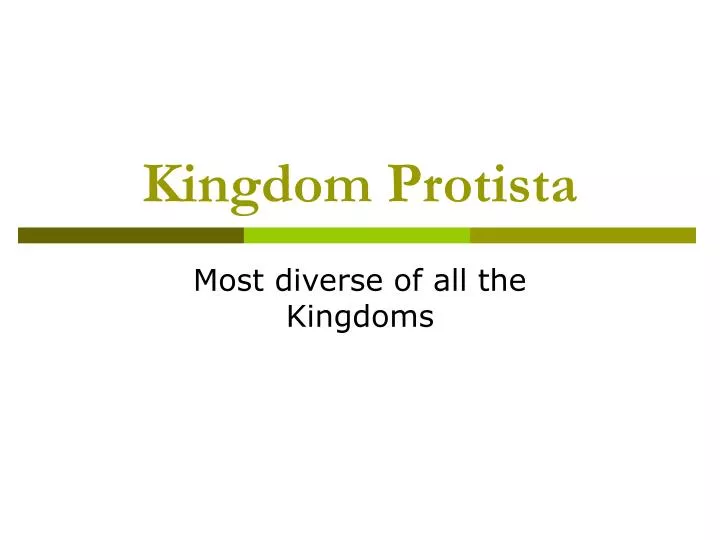 kingdom protista
