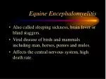 Equine Encephalomyelitis - slide 1