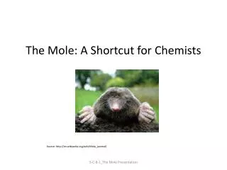 The Mole: A Shortcut for Chemists