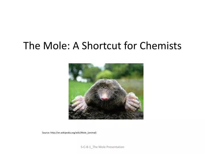 the mole a shortcut for chemists