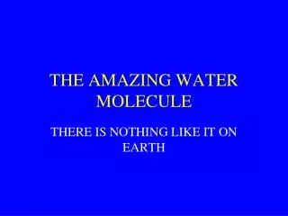 THE AMAZING WATER MOLECULE