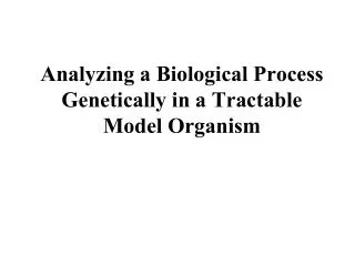 Analyzing a Biological Process Genetically in a Tractable Model Organism