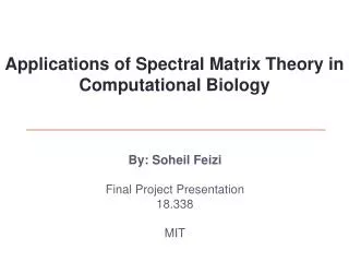 By: Soheil Feizi Final Project Presentation 18.338 MIT