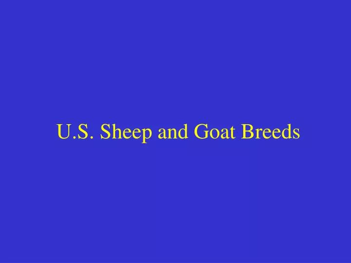 u s sheep and goat breeds