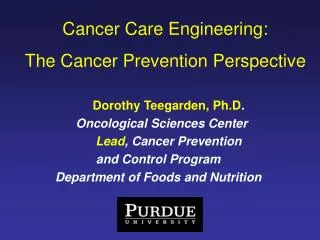 Cancer Care Engineering: The Cancer Prevention Perspective