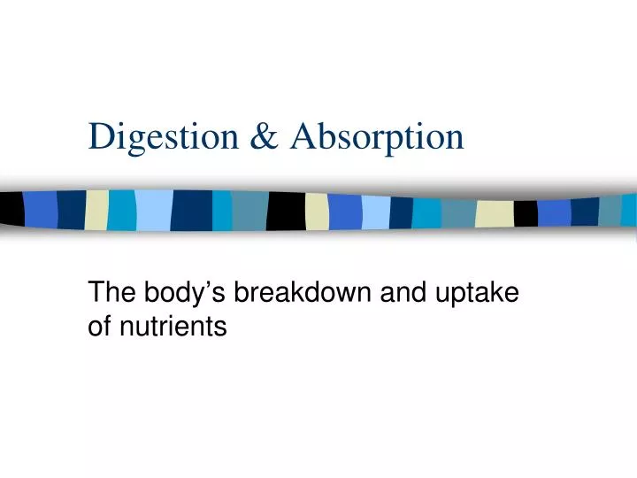 digestion absorption
