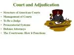 Court and Adjudication - slide 1