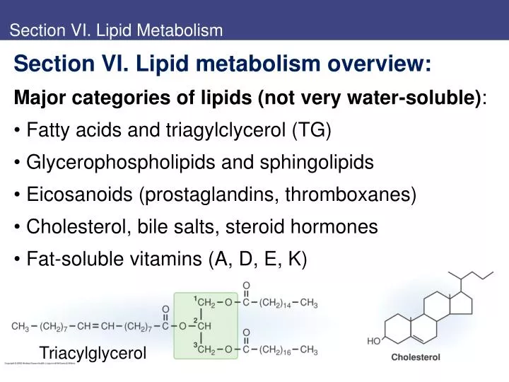 section vi lipid metabolism