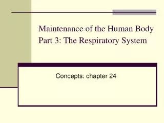 Maintenance of the Human Body Part 3: The Respiratory System